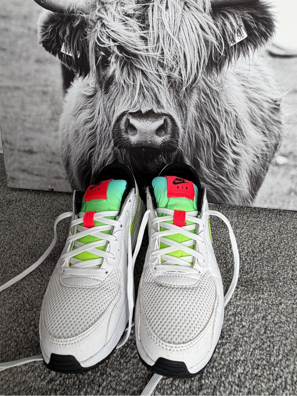 Nike Kids White Sneakers with Neon Green & Pink Accents